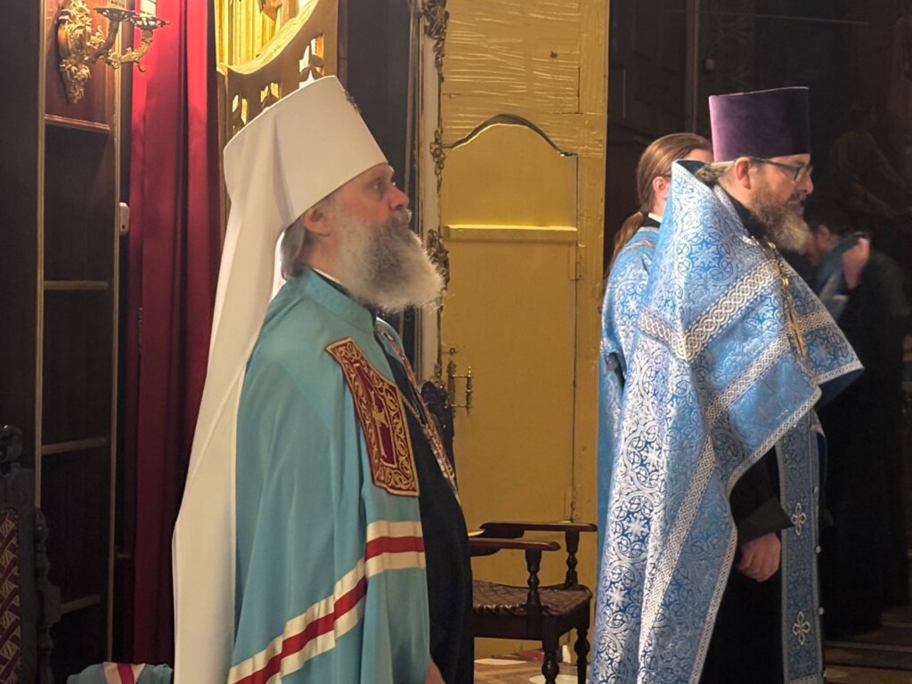 photo_2025-11-03_20-57-22