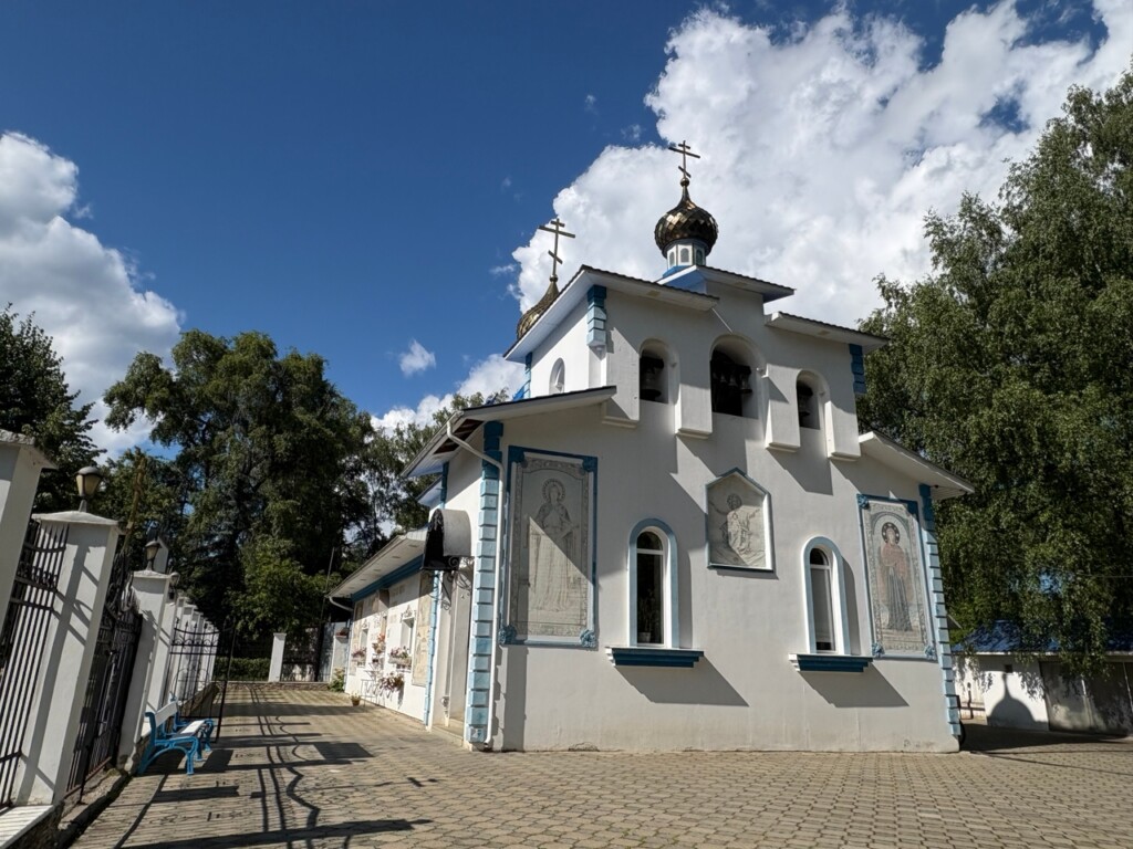 л