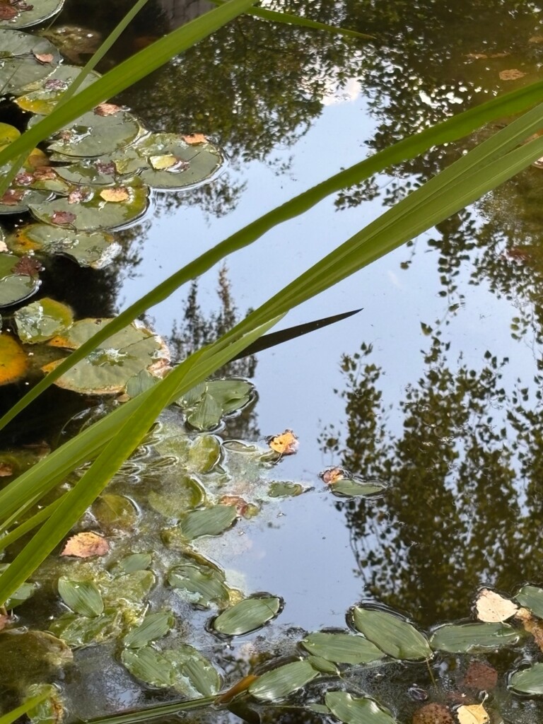 UAsccgLbF7GltAtD7ZiNDTBX6WUWxIr_QURovm41qkExn9-2KDoxs8uaoobfhbksXJsAYgPQXXMSL6l1zDi8TFmf