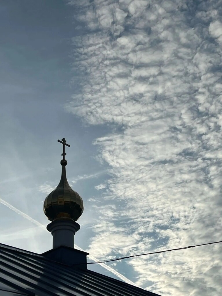 т